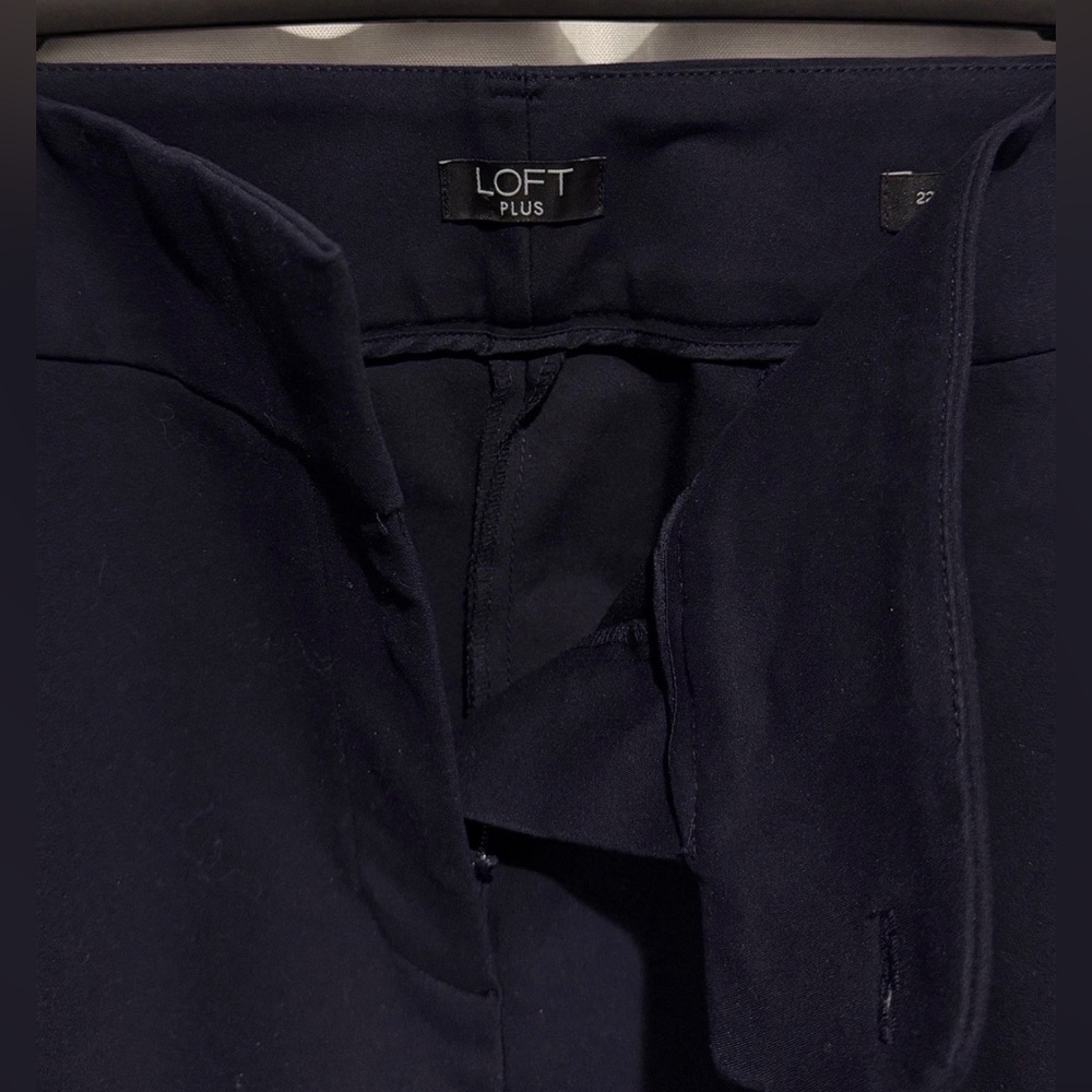 LOFT Womens Plus Size 22 Marisa Skinny Flat Front Button Zip Navy Pocket Pants - Picture 7 of 8
